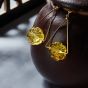 Amber Earrings KEML016